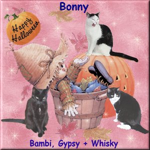 Geschenk von Whisky, Bambi und Gypsy