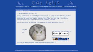Cat Felix
